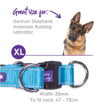 Kazoo Dog Collar Active Adjustable Ocean Sunrise [:extra Large]