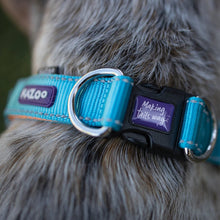 Kazoo Dog Collar Active Adjustable Ocean Sunrise [:extra Large]