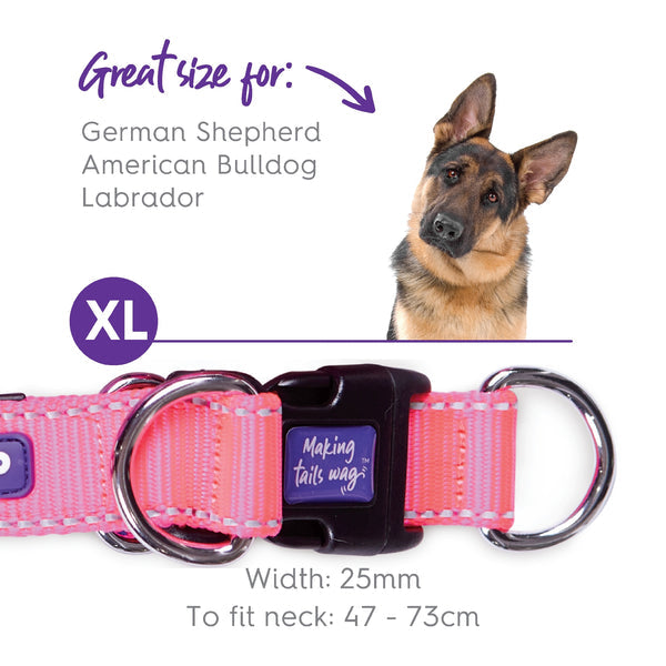 Kazoo Dog Collar Active Adjustable Bloom Burst [:extra Large]