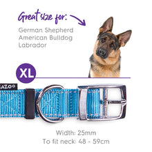 Kazoo Dog Collar Active Ocean Sunrise [:extra Large]