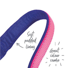 Kazoo Dog Collar Active Bloom Burst [:extra Large]