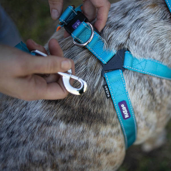 Kazoo Dog Leash Active Ocean Sunrise 1200mm [:15mm]