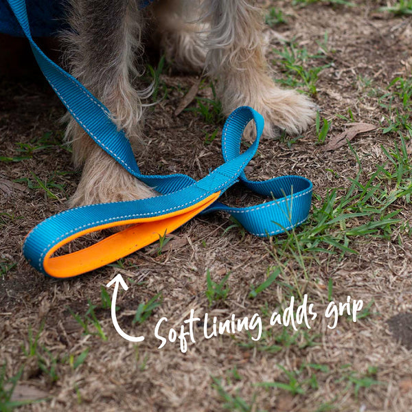 Kazoo Dog Leash Active Ocean Sunrise 1200mm [:15mm]