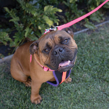 Kazoo Dog Leash Active Bloom Burst 1800mm [:15mm]