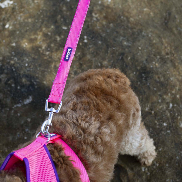Kazoo Dog Leash Active Bloom Burst 1800mm [:15mm]