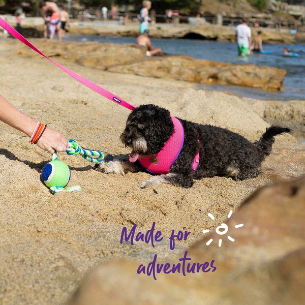 Kazoo Dog Leash Active Bloom Burst 1800mm [:15mm]