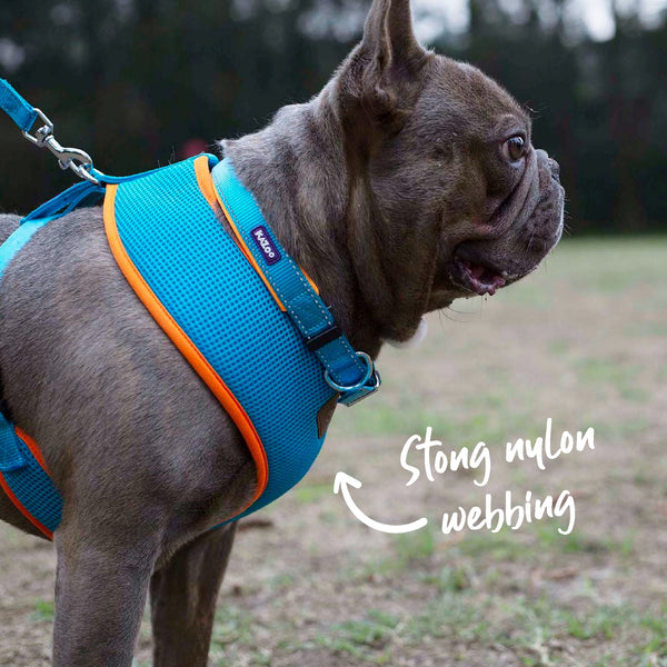 Kazoo Harness Active Soft Ocean Sunrise [:xxs]