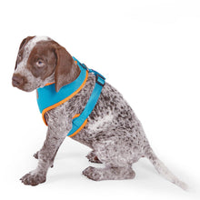 Kazoo Harness Active Soft Ocean Sunrise [:xxs]