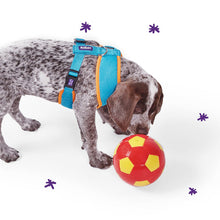 Kazoo Harness Active Soft Ocean Sunrise [:xxs]