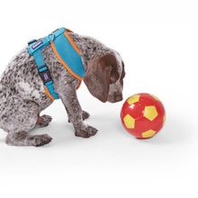 Kazoo Harness Active Soft Ocean Sunrise [:xxs]