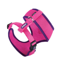Kazoo Harness Active Soft Bloom Burst [:xxs]