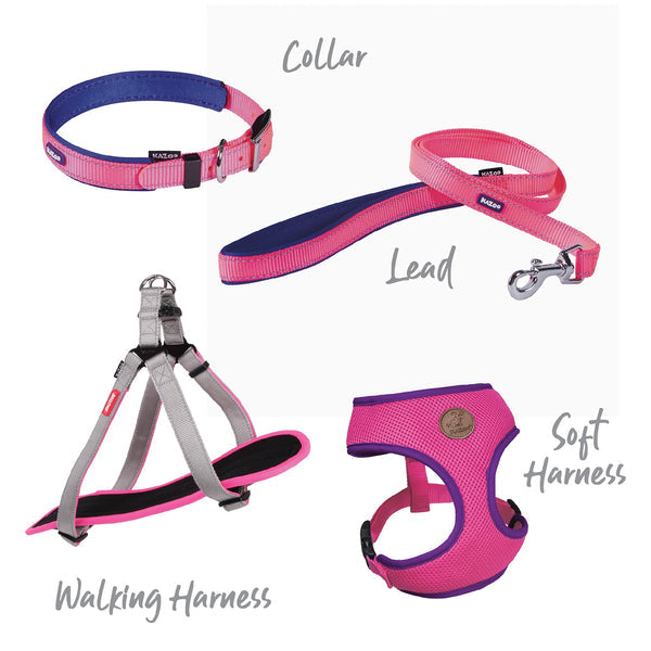 Kazoo Harness Active Soft Bloom Burst [:xxs]