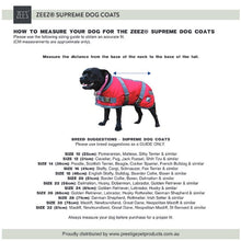 Zeez Dog Coat Supreme Mint Green & Grey [:76cm]