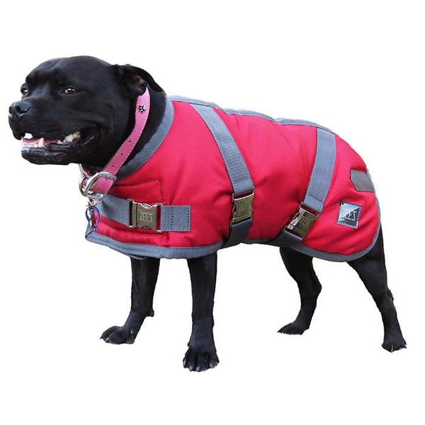 Zeez Dog Coat Supreme Ruby Red & Grey [:25cm]