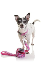 Doog Dog Leash Toto [:small]