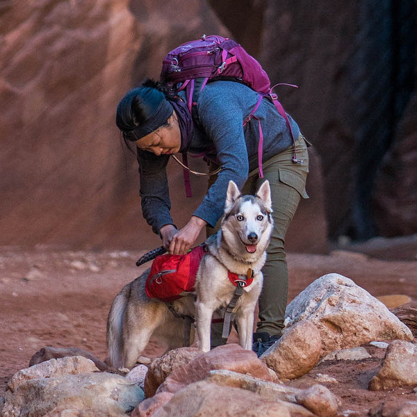 Kurgo Dog Backpack Big Baxter Coastal Blue