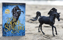 Breyer Freedom Black Stallion Horse & Book Set