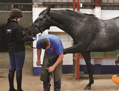 Horslyx Original Mini Vitamin & Mineral Lick 650gm