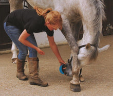 Horslyx Respiratory Mini Vitamin & Mineral Lick 650gm