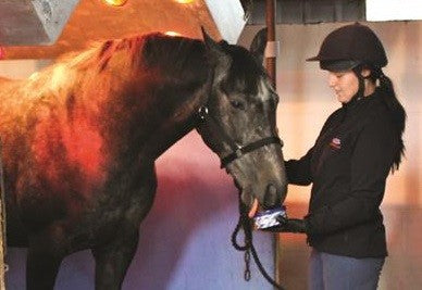 Horslyx Respiratory Mini Vitamin & Mineral Lick 650gm