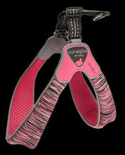 Coralpina Harness Powermix Pink Melange [:3]