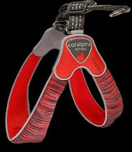 Coralpina Harness Powermix Red Melange [:3]