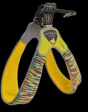 Coralpina Harness Powermix Yellow Melange [:3]