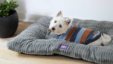Bed Dog Kazoo Cloud Cushion Cool Grey Medium