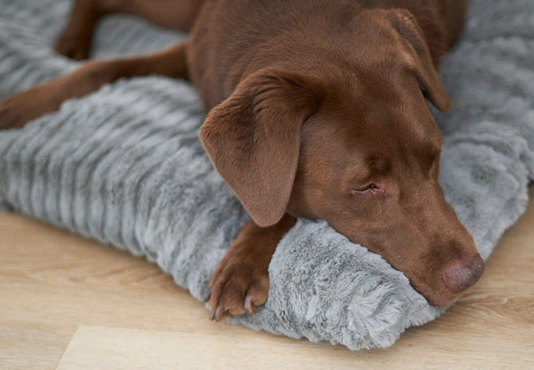 Bed Dog Kazoo Cloud Cushion Cool Grey Large