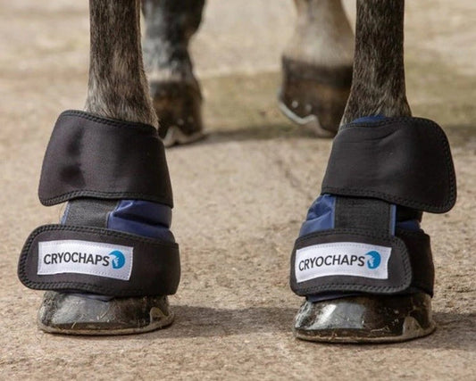 Ice Wrap Cryochaps Absolute Pastern Hocks Knees Pair