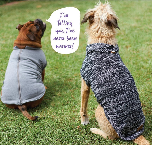 Kazoo Dog Rug Armadillo Jacket Charcoal [:33.5cm]