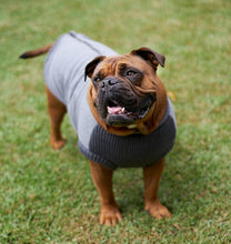 Kazoo Dog Rug Armadillo Jacket Charcoal [:33.5cm]