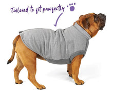 Kazoo Dog Rug Armadillo Jacket Charcoal [:33.5cm]