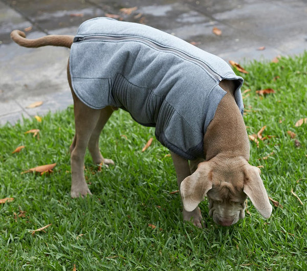 Kazoo Dog Rug Armadillo Jacket Charcoal [:33.5cm]