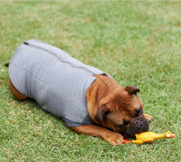 Kazoo Dog Rug Armadillo Jacket Charcoal [:33.5cm]