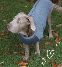 Kazoo Dog Rug Armadillo Jacket Charcoal [:33.5cm]