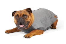 Kazoo Dog Rug Armadillo Jacket Charcoal [:33.5cm]