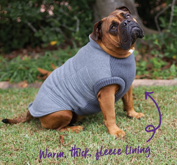 Kazoo Dog Rug Armadillo Jacket Charcoal [:33.5cm]