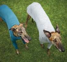 Kazoo Dog Rug Greyhound Softie Grey [:59cm-65cm]