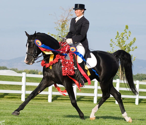 Breyer Traditional Kb Omega Fahim Arabian