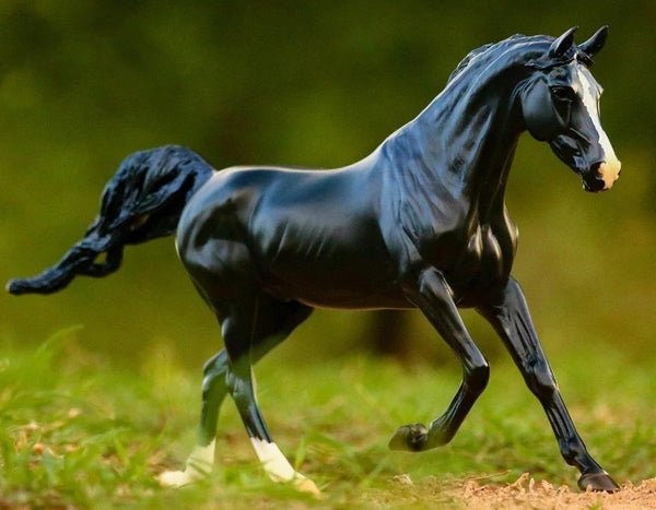 Breyer Traditional Kb Omega Fahim Arabian