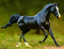 Breyer Traditional Kb Omega Fahim Arabian