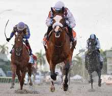 Breyer Traditional Tiz The Law Thoroughbred