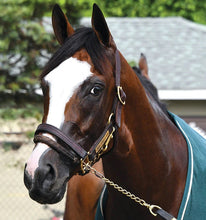 Breyer Traditional Tiz The Law Thoroughbred