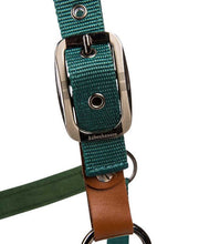 Headstall Set Aubenhausen Classics Dark Green Full