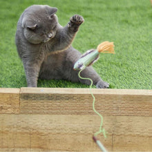 Cat Toy Kazoo Fantail Bird Wand