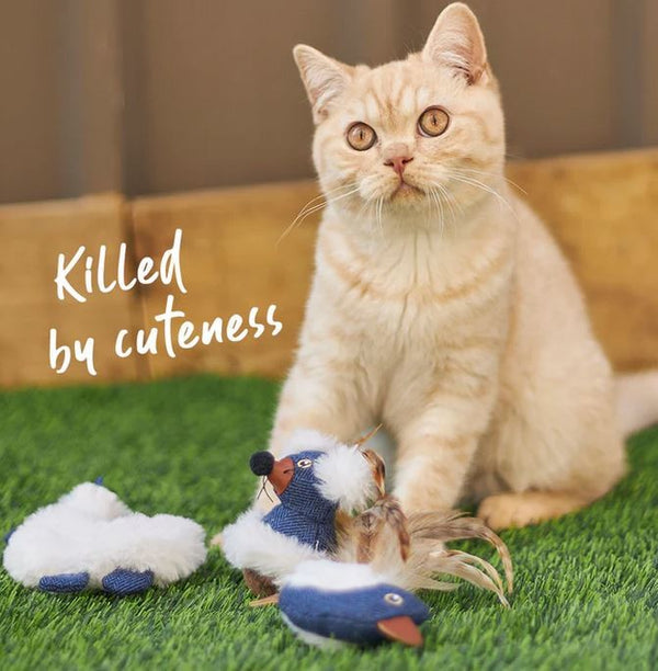 Cat Toy Kazoo Chirpy Bird