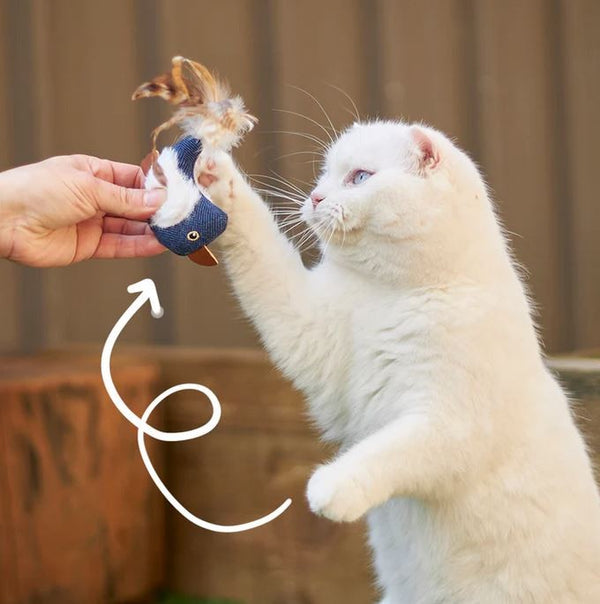 Cat Toy Kazoo Chirpy Bird