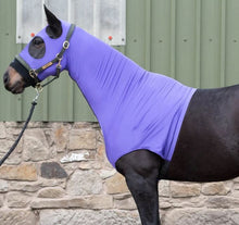 Horzehood No Ears Purple [:small]