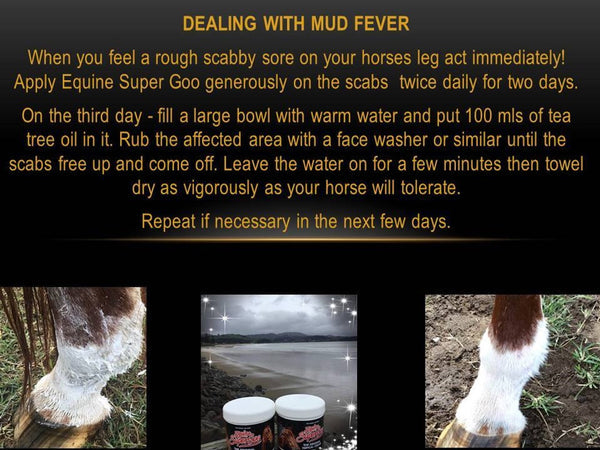 Equine Super Cream Topical Ointment 500ml